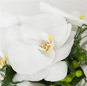 Photo 457405